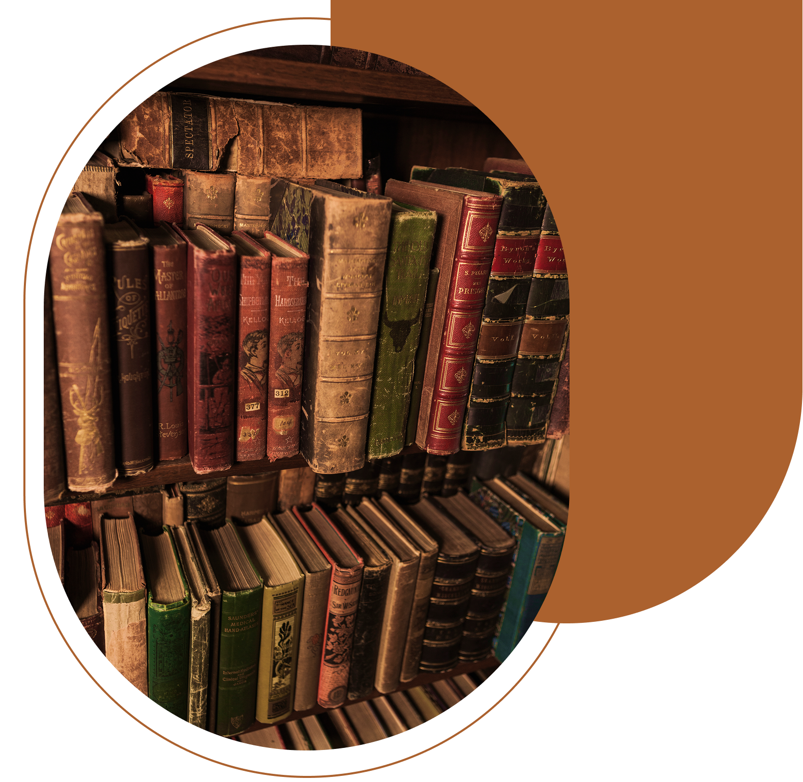 Vintage books in a library