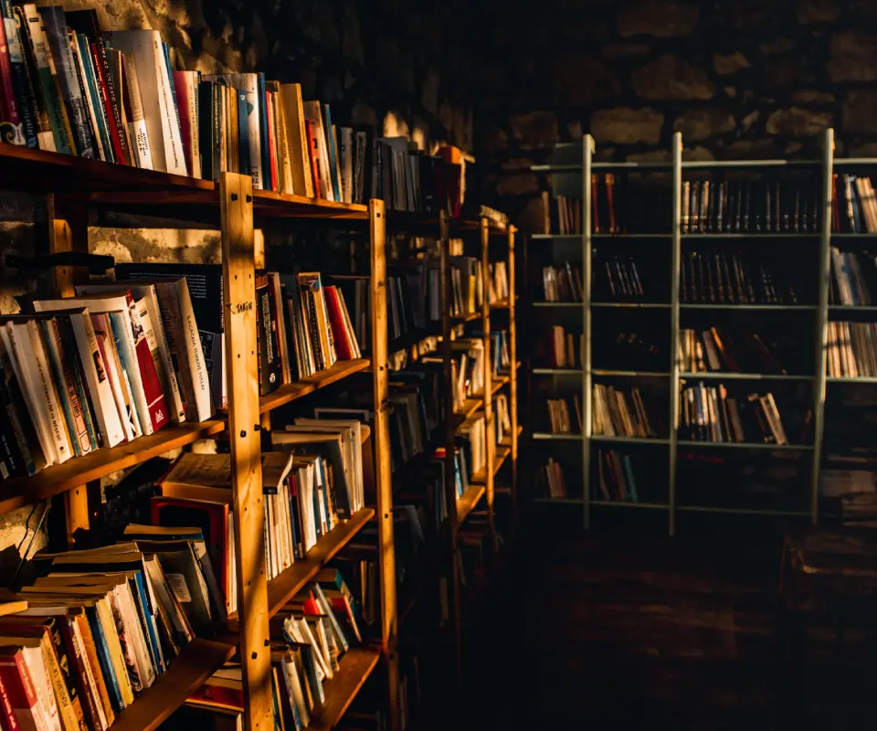 Rustic library filled with books